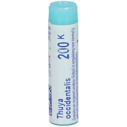 Boiron Thuya Occidentalis 200K Globulen