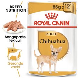 Royal Canin BHN Chihuahua Nat Hondenvoer