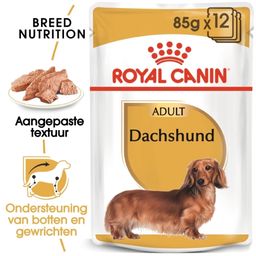 Royal Canin BHN Dachshund Natvoer