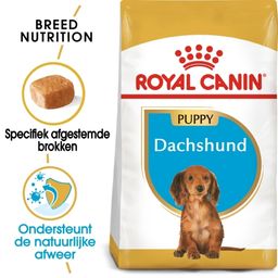 Royal Canin BHN Dashond Puppy