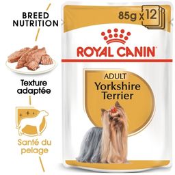 Royal Canin BHN Yorkshire Terrier Émincé en Sauce