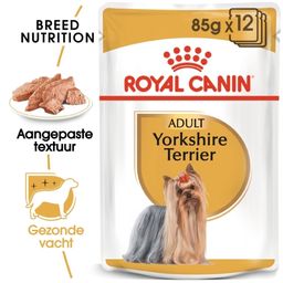 Royal Canin BHN Yorkshire Terrier Natvoer