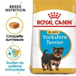 Royal Canin BHN Yorkshire Terrier Puppy