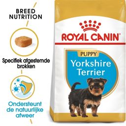 Royal Canin BHN Yorkshire Terrier Puppy