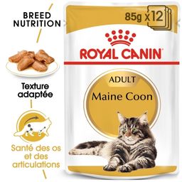 Royal Canin FBN British Shorthair en Sauce