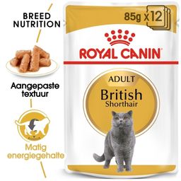 Royal Canin FBN British Shorthair in Saus