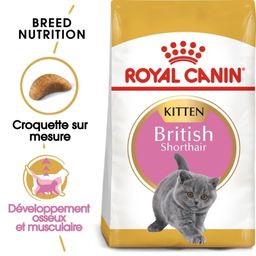 Royal Canin FBN British Shorthair Kitten Croquettes pour chats
