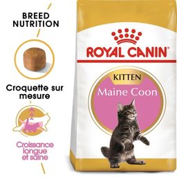Royal Canin FBN Kitten Maine Coon