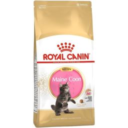 Royal Canin FBN Kitten Maine Coon