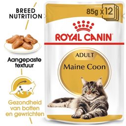 Royal Canin FBN Maine Coon in Gravy Kattenvoer