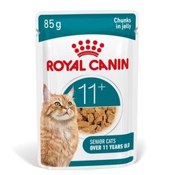 Royal Canin FHN Ageing 11+ en Gelée