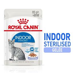Royal Canin FHN Indoor in Jelly Aliment humide pour chats