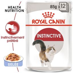 Royal Canin FHN Instinctive in Jelly Aliment humide pour chats