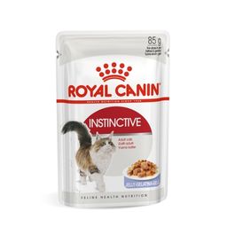 Royal Canin FHN Instinctive in Jelly Kattenvoer