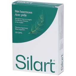 Silart