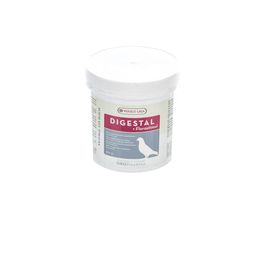 Digestal
