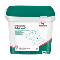 Primeval Gelatinaat Chien