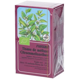 Salus Floradix Citroenmelisse