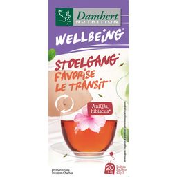 Wellbeing Thé Favorise le Transit