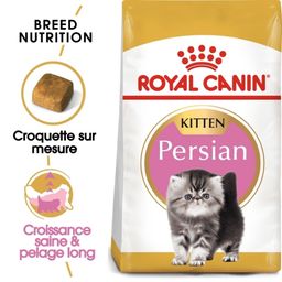 Royal Canin FBN Kitten Persian
