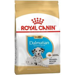 Royal Canin Dalmatien Puppy