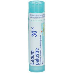 Boiron Gran Ledum Palustre 30K