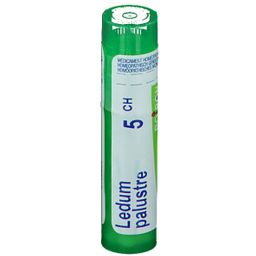 Boiron Gran Ledum Palustre 5Ch