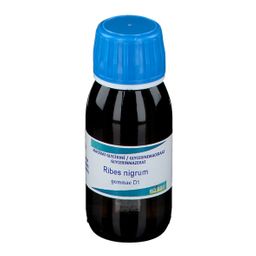 Boiron Ribes Nigrum Gemmo D1