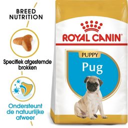 Royal Canin BHN Mopshond Puppy