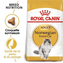 Royal Canin FBN Norwegian Forest Cat