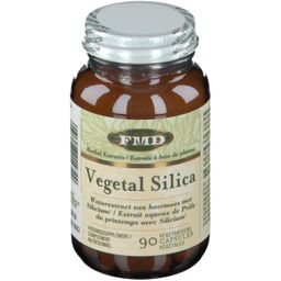 Vegetal Silica