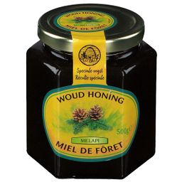 Melapi Miel de Forêt | Miel naturel liquide | Arôme boisé & sombre