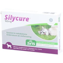 Silycure 160mg