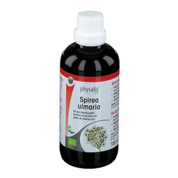 Physalis® Spirea Ulmaria