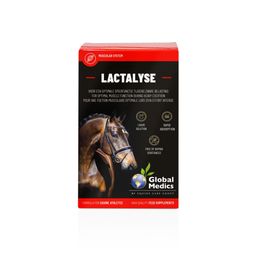 Lactalyse 400 ml | Soutien musculaire et récupération pour chevaux de sport