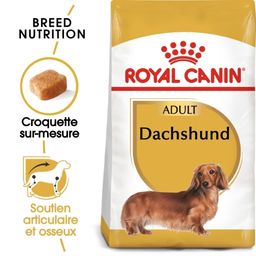 Royal Canin BHN Teckel Adulte