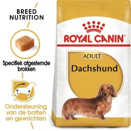 Royal Canin BHN Dashond Volwassen