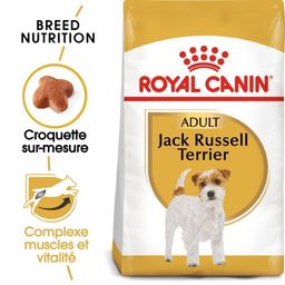 Royal Canin BHN Jack Russell Terrier Adulte