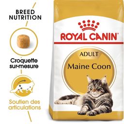 Royal Canin FBN Maine Coon Croquettes pour chats