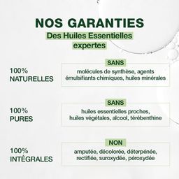Pranarôm Aromaforce Natuurlijke Weerstand Bio | Immuunsysteem