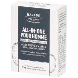 Balade en Provence All-in-1 for Men