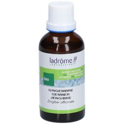 Ladrôme Gingembre Extrait Végétale