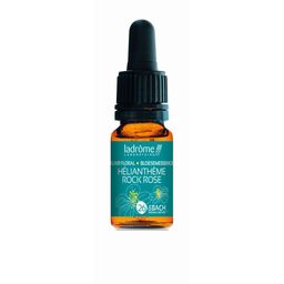Ladrôme Zonneroosje N°26
