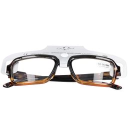 Set leesbril +2.5