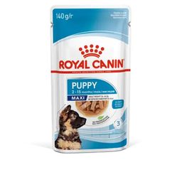 Royal Canin Maxi Puppy in Gravy