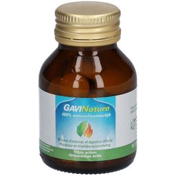 GAVINatura