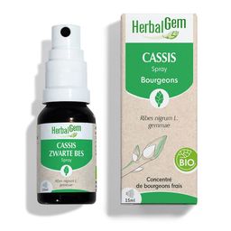 HerbalGem Cassis Bio