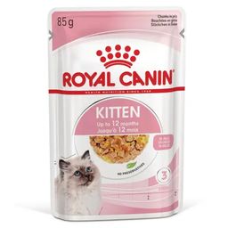 Royal Canin Fhn Kitten In Jelly