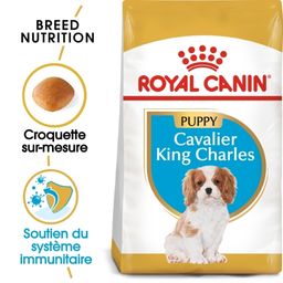 Royal Canin BHN Cavalier King Charles Puppy