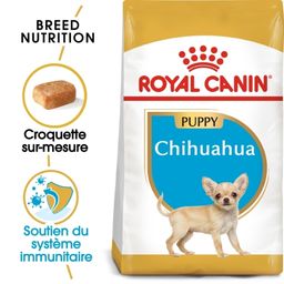 Royal Canin BHN Chihuahua Puppy
